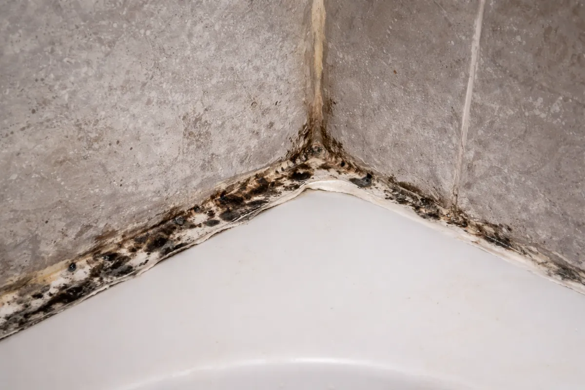 浴室黴菌好難清？過氧化氫變身除黴利器